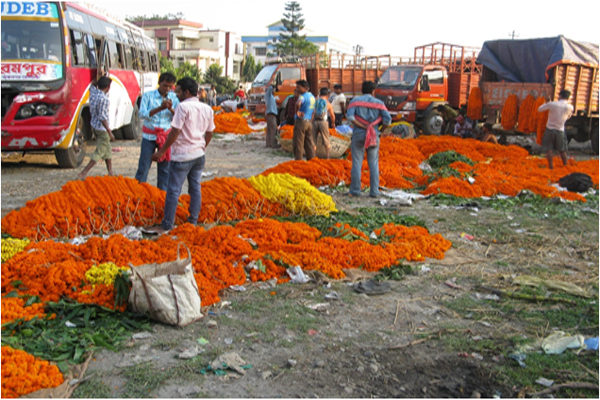 Flower Market